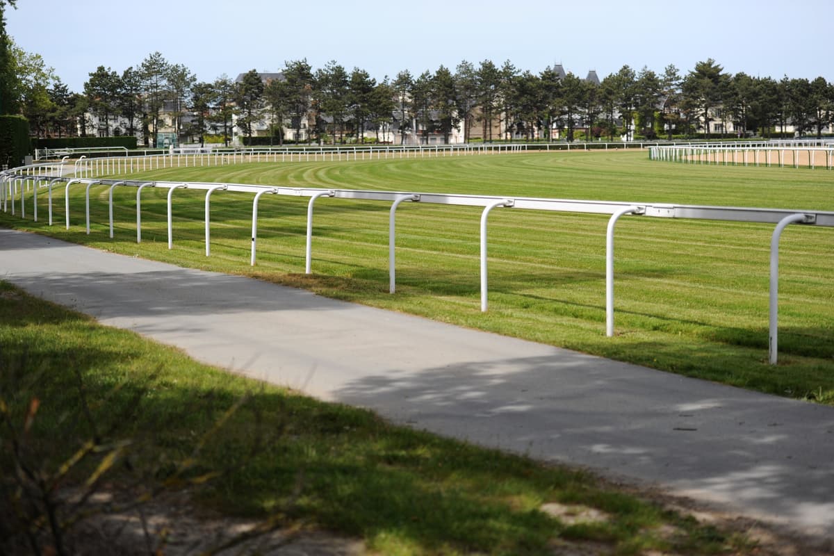 Piste de l'hippodrome, gazon tondu bordé de lisses blanches, une allée au premier plan et une rangée de pins au fond.